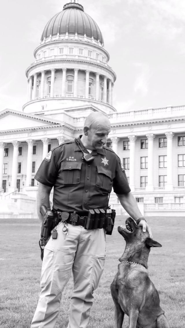 In honor of National Dog Day, we thank Utah Highway Patrol K-9 units who work diligently to keep Utahns safe. 

#NationalDogDay #utpol #utleg #InternationalDogDay #dogvideo #dog #dogsatwork